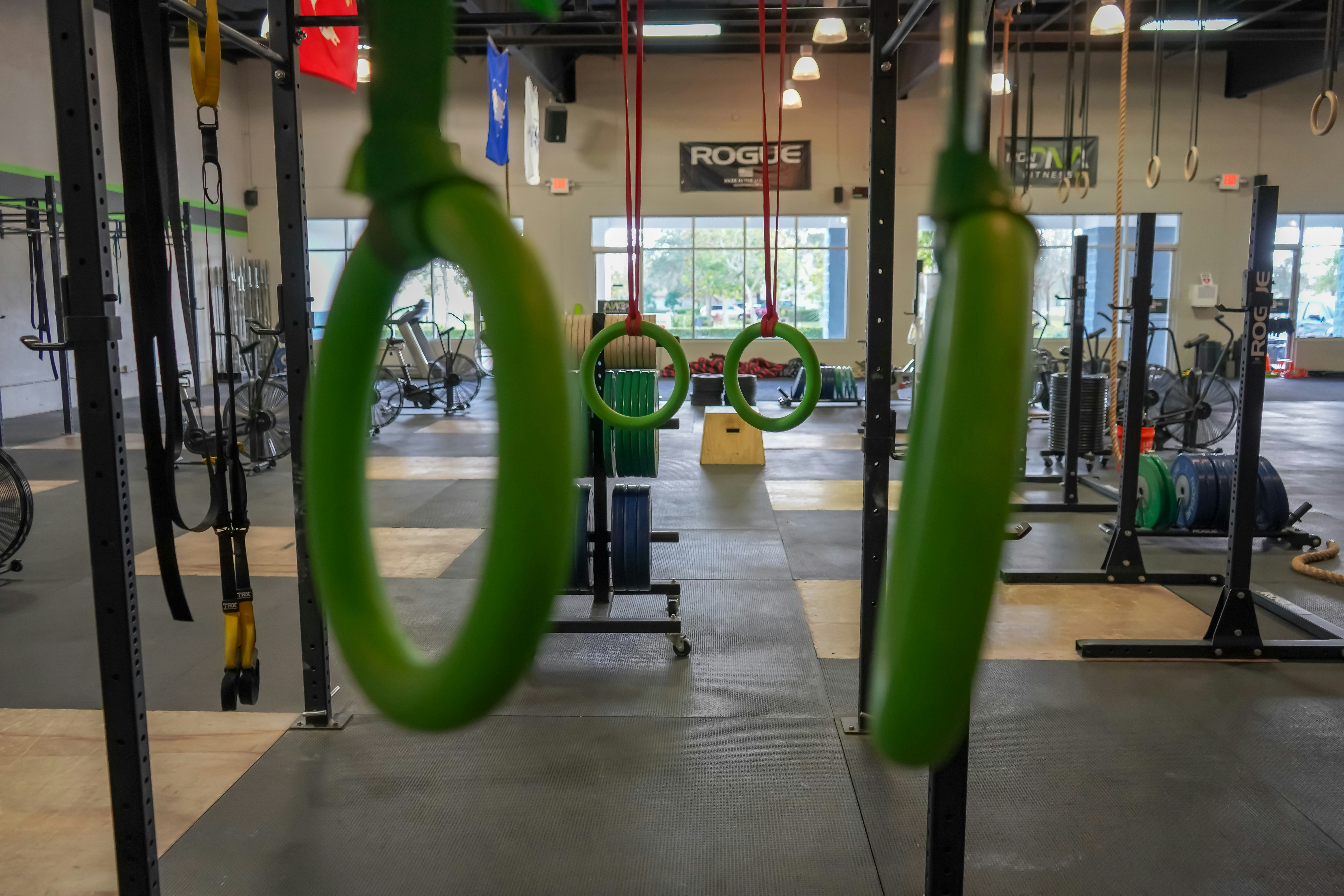 Gym and fitness interior